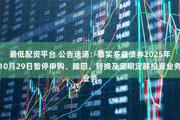 最低配资平台 公告速递：嘉实多益债券2025年10月29日暂停申购、赎回、转换及定期定额投资业务