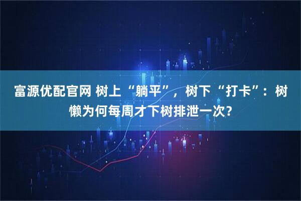 富源优配官网 树上 “躺平”，树下 “打卡”：树懒为何每周才下树排泄一次？
