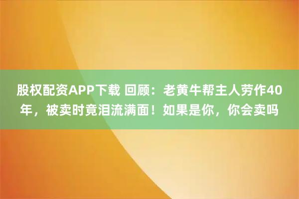 股权配资APP下载 回顾：老黄牛帮主人劳作40年，被卖时竟泪流满面！如果是你，你会卖吗