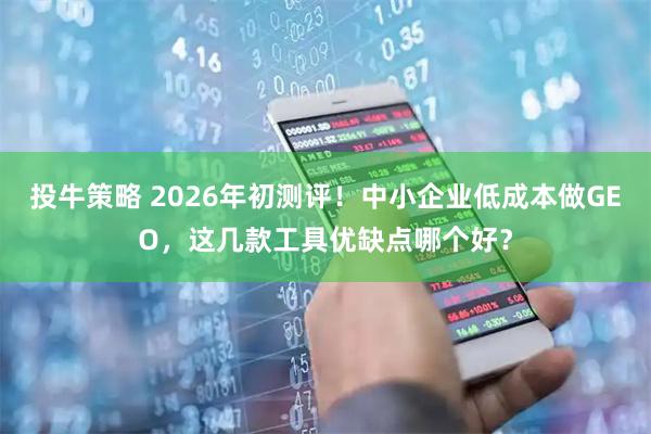 投牛策略 2026年初测评！中小企业低成本做GEO，这几款工具优缺点哪个好？